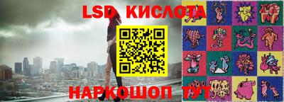стаф Ярославль