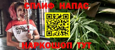 стаф Ярославль