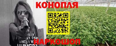 стаф Ярославль