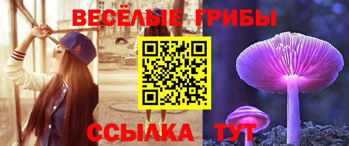 Псилоцибиновые грибы ЛСД  Галлюциногенные грибы Magic Shrooms  Владивосток  купить  цена  Вход с VPN 