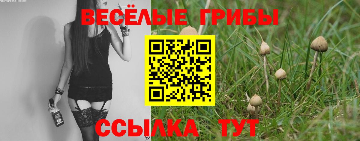 Псилоцибиновые грибы Magic Shrooms Владивосток